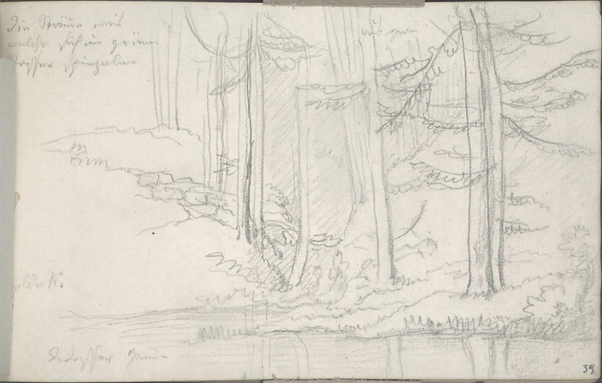 Blasius Höfel, Skizze eines Waldsees (mit Farbangaben), Inv. Nr.: 35116/39r