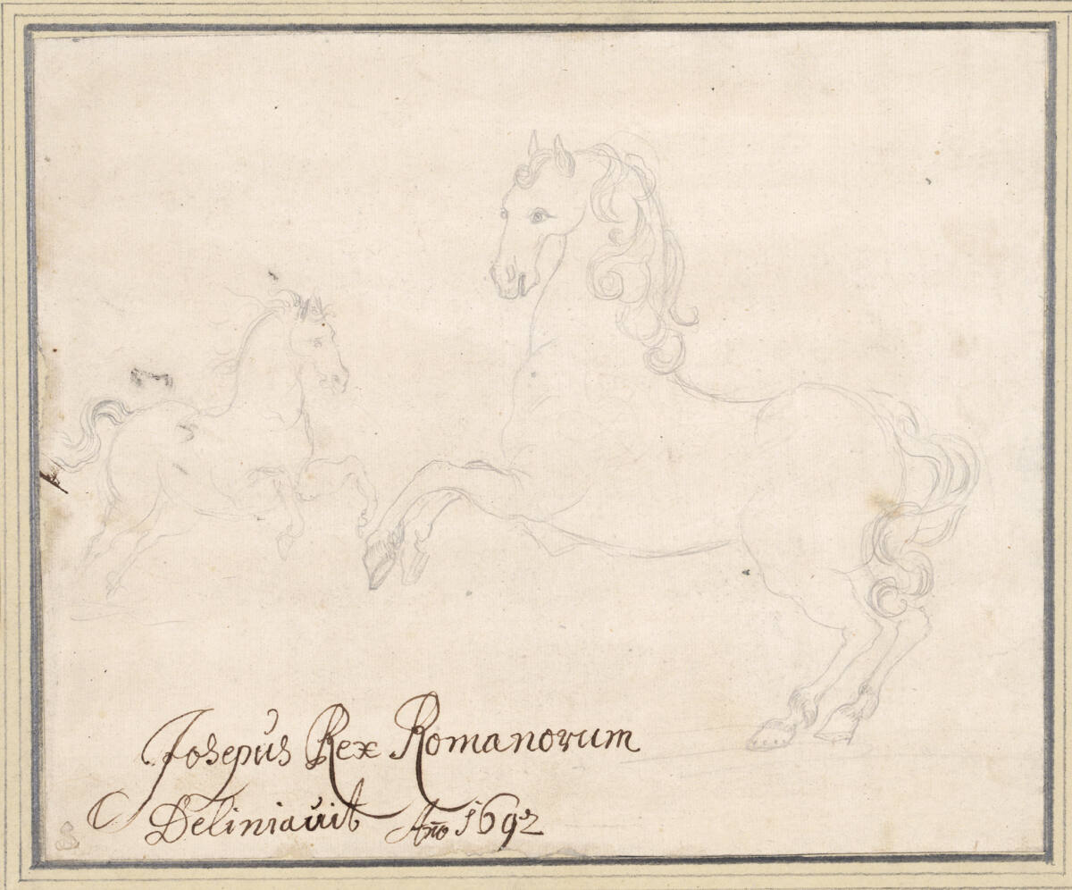 Zwei Pferde, Joseph I. Römisch-Deutscher Kaiser, 1692