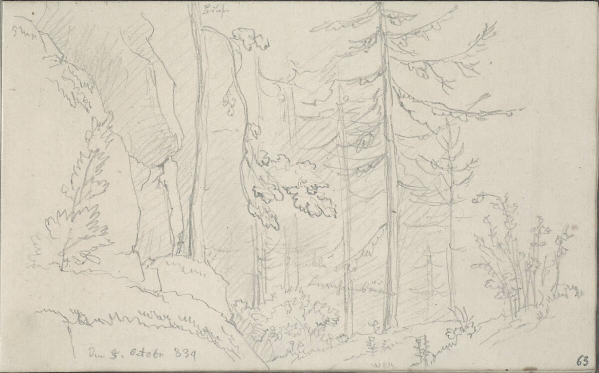 Blasius Höfel, Waldstudie, Inv. Nr.: 35116/63