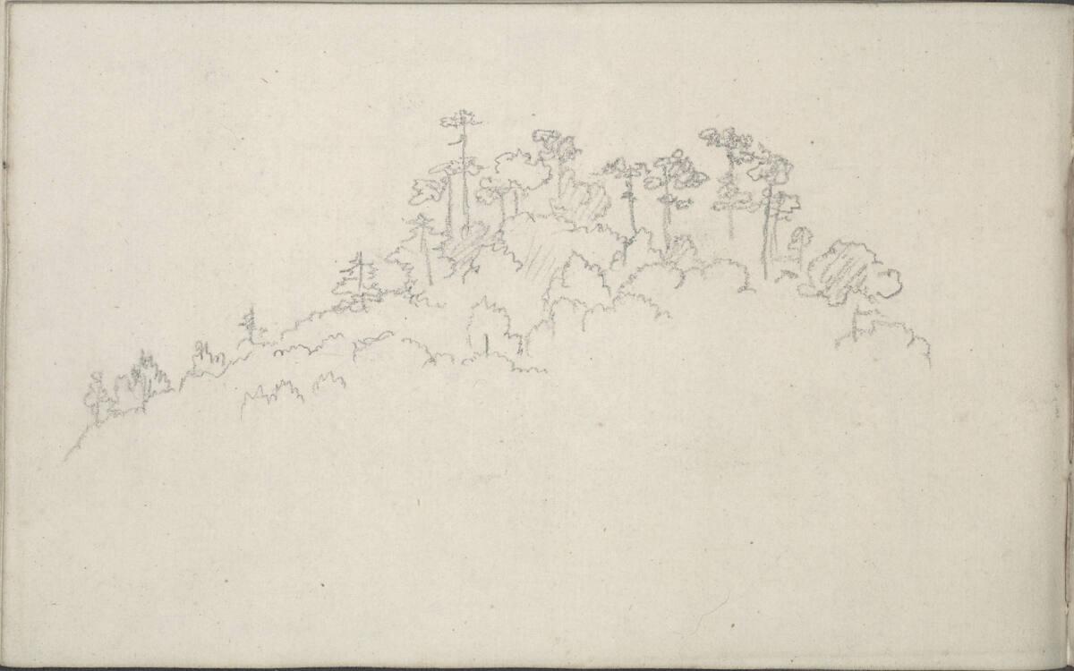 Blasius Höfel, Waldstudie, Inv. Nr.: 35116/85v
