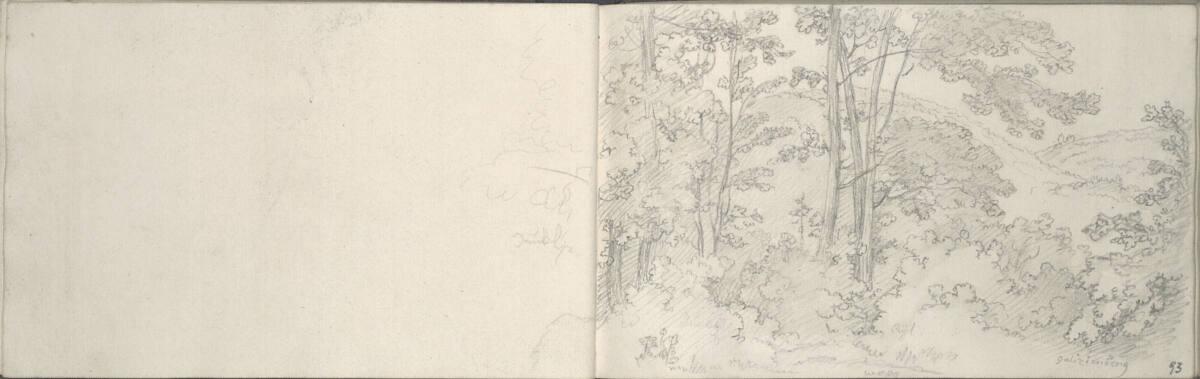 Blasius Höfel, Blick in den Wienerwald, vom Galizinberg aus, Inv. Nr.: 35116/92v-93r