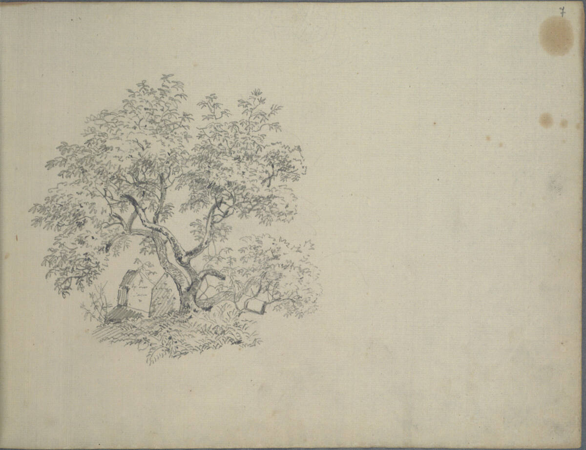 Baumstudie, Joseph Holzer, 1836–1837