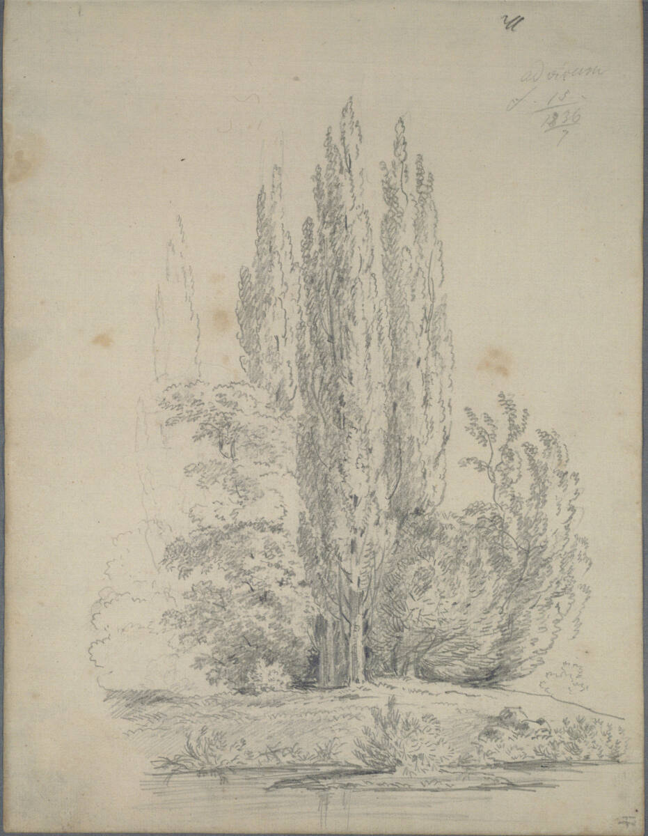 Pappelwäldchen an einem Fluss oder See, Joseph Holzer