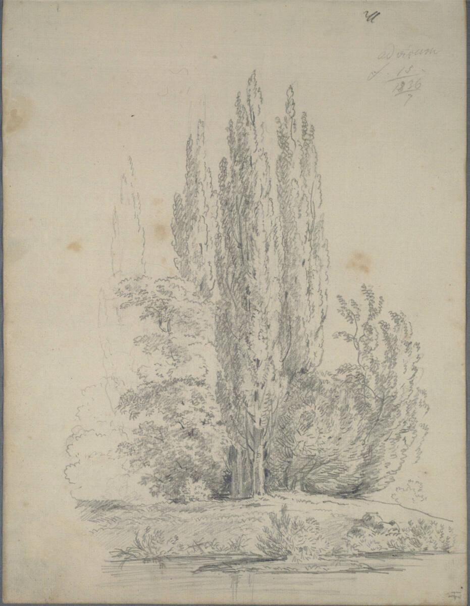 Joseph Holzer, Pappelwäldchen an einem Fluss oder See, Inv. Nr.: 25932/17