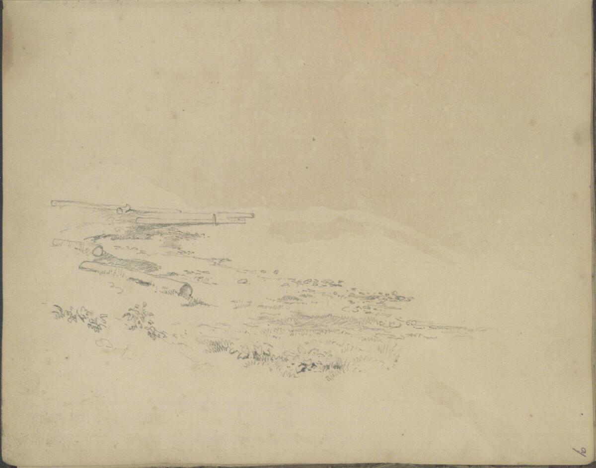 Anton Hansch, Naturbodenausschnitt mit Baumstämmen, Inv. Nr.: 16220