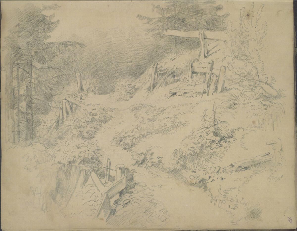 Anton Hansch, Waldweg, Inv. Nr.: 16223