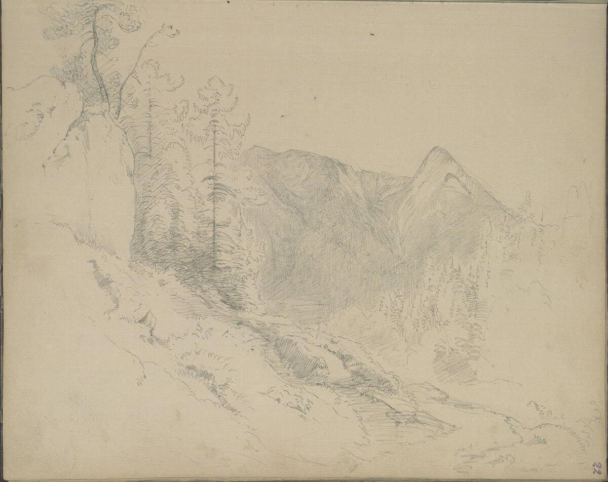 Anton Hansch, Gebirgs- und Waldlandschaft, Inv. Nr.: 16234