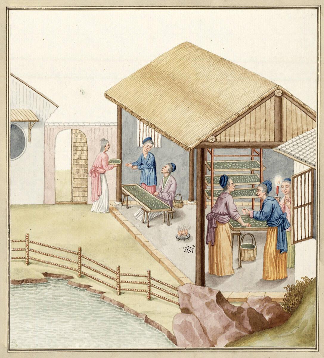 Anonym, Sechs Frauen bei häuslicher Seidenraupenpflege in Che Kiang, Inv. Nr.: 13788