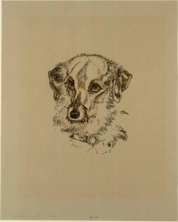 Ludwig Heinrich Jungnickel, Terrierkopf (auch: Kriegshund Prinz), Inv. Nr.: DG1918/223