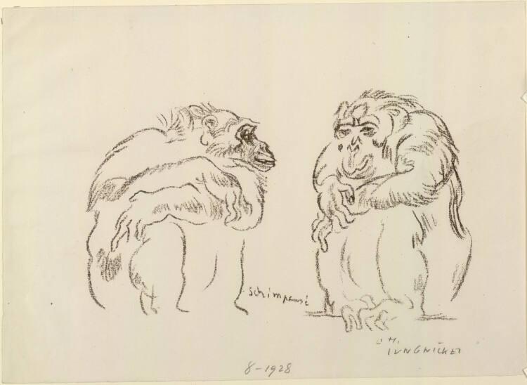 Ludwig Heinrich Jungnickel, Schimpansen, Inv. Nr.: DG1928/8