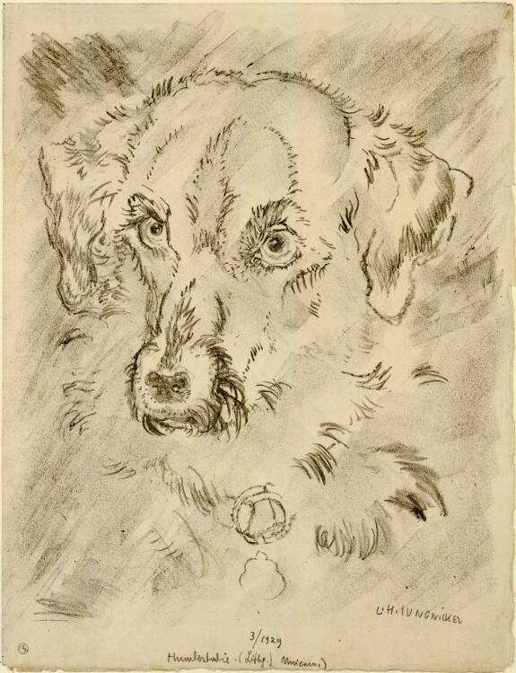 Ludwig Heinrich Jungnickel, Terrierkopf (auch: Kriegshund Prinz), Inv. Nr.: DG1929/3