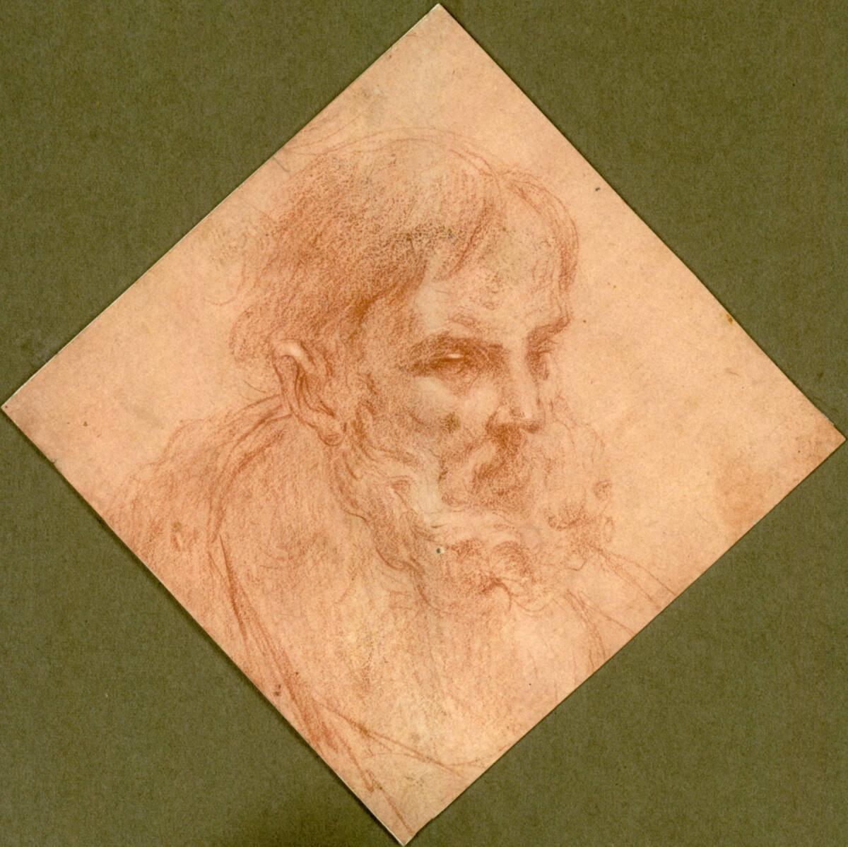 Anonym, Männlicher bärtiger Kopf, Inv. Nr.: 43835