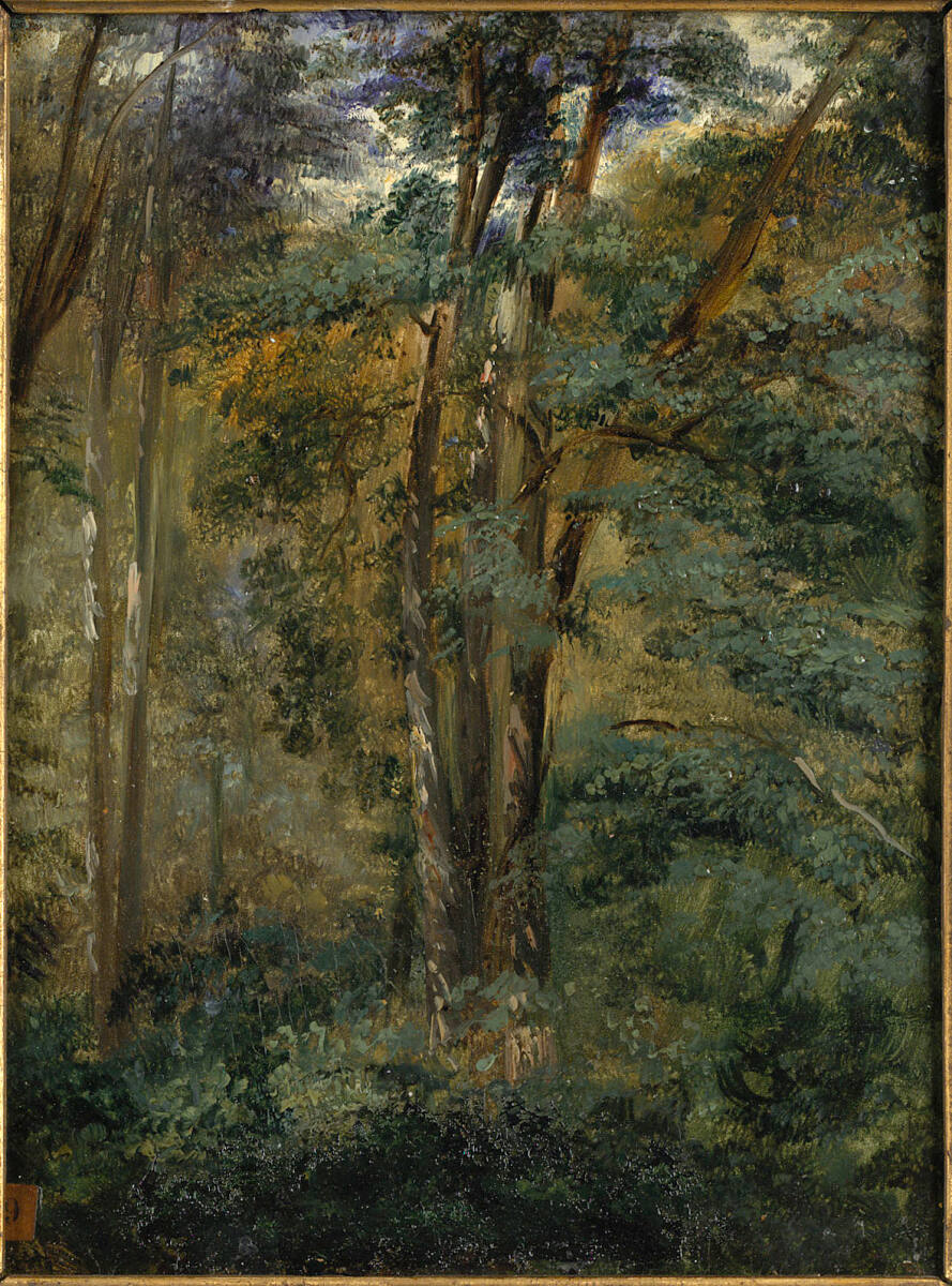 Waldstück, Paul Huet, 1820