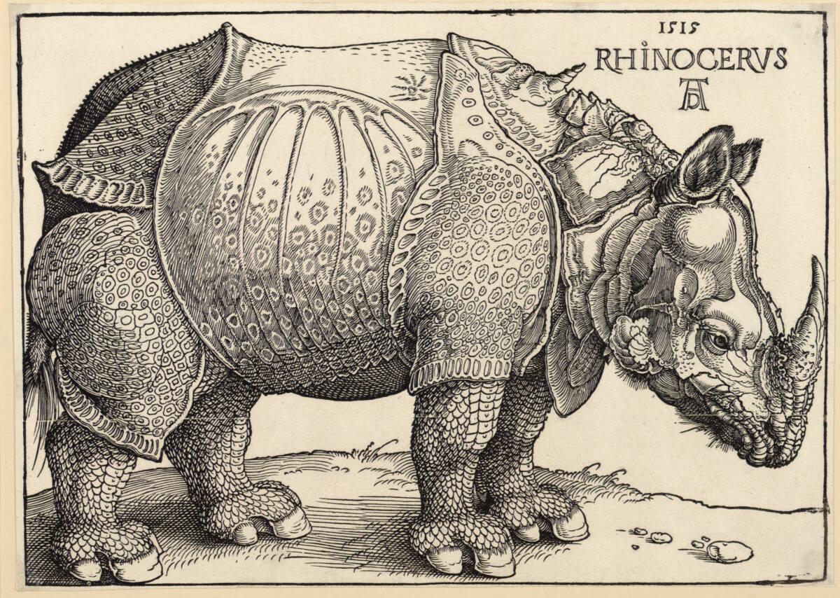 Rhinocerus (Das Rhinozeros), Albrecht Dürer, 1515