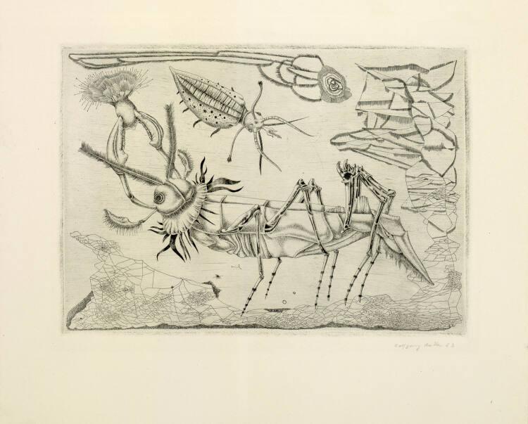 Wolfgang Hutter, Heuschrecke, Inv. Nr.: DG1953/514