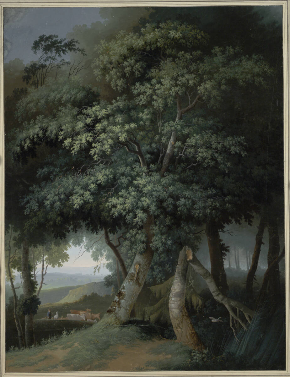 Laubwald mit dichten Baumkronen, Joseph August Knip