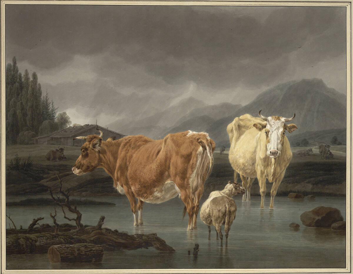 Wilhelm Alexander Wolfgang von  Kobell, Kühe und Schafe im seichten Wasser eines Gebirgssees, I…