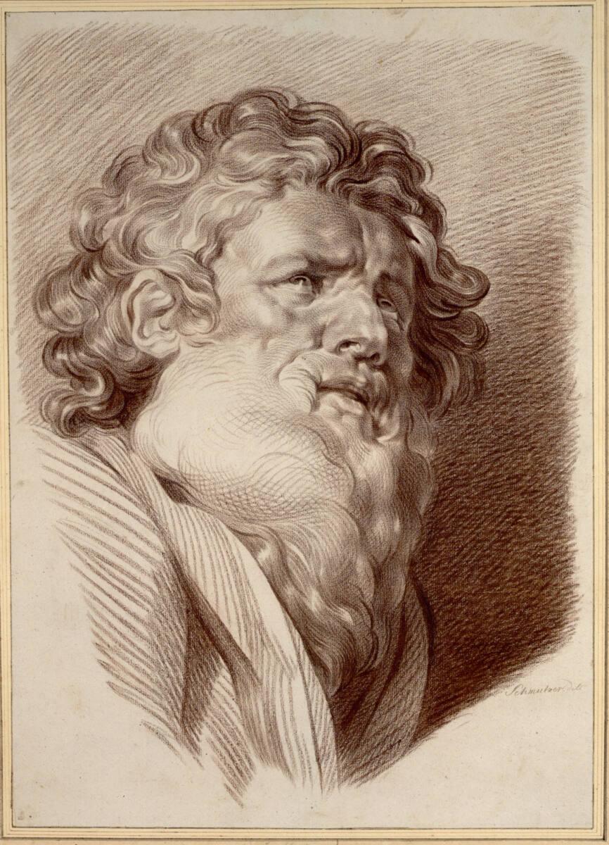 Anonym, Aufwärtsblickender Greisenkopf, Inv. Nr.: 14915