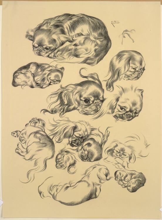 Norbertine von Bresslern-Roth, Pekinesen, Inv. Nr.: 37833/14