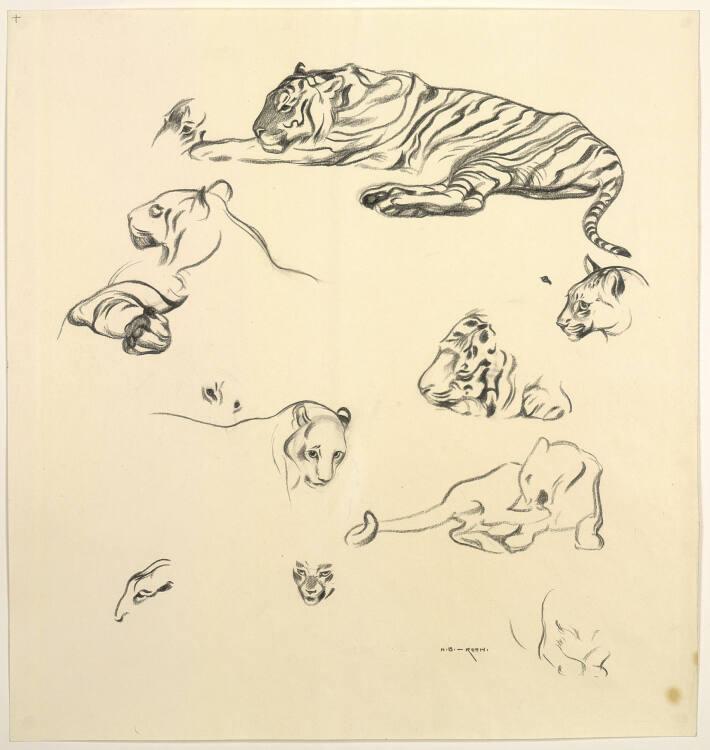 Norbertine von Bresslern-Roth, Tiger, Inv. Nr.: 37833/43