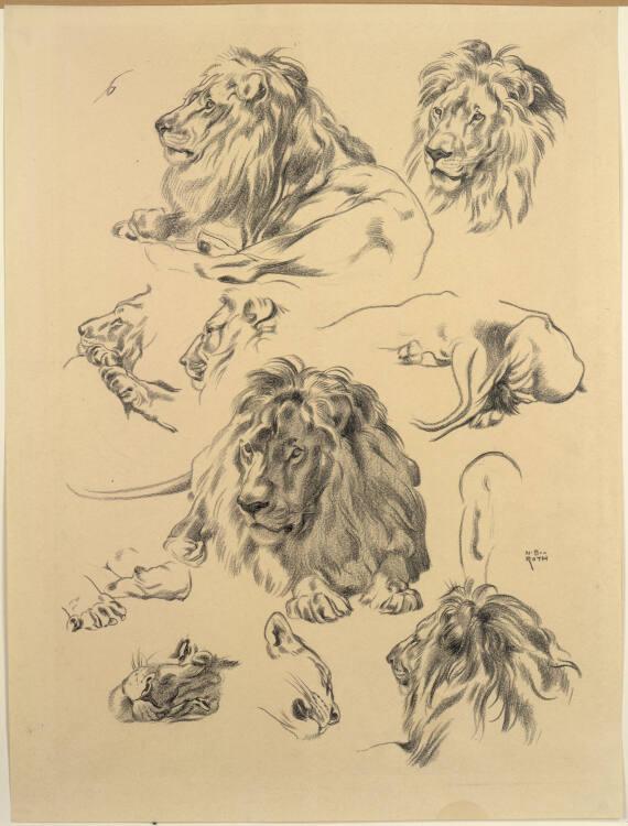 Norbertine von Bresslern-Roth, Löwen, Inv. Nr.: 37833/59