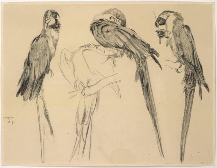 Norbertine von Bresslern-Roth, Ararauna (Papageien), Inv. Nr.: 37833/68