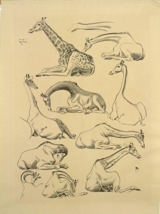 Norbertine von Bresslern-Roth, Giraffe, Inv. Nr.: 37833/91