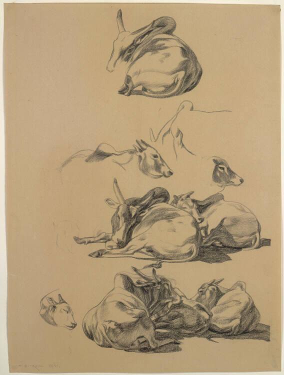 Norbertine von Bresslern-Roth, Zebu, Inv. Nr.: 37833/115