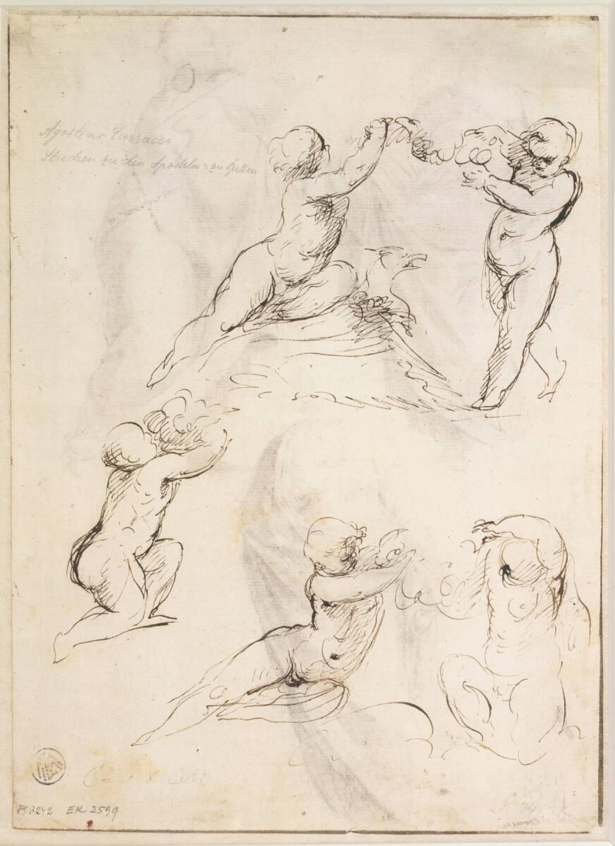 Agostino Carracci, Puttenstudien, Inv. Nr.: 46585v