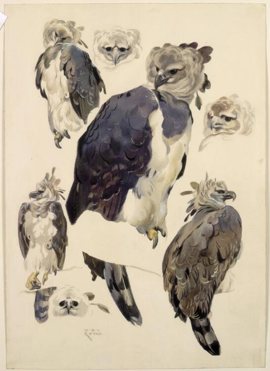 Norbertine von Bresslern-Roth, Harpie, Inv. Nr.: 37833/226