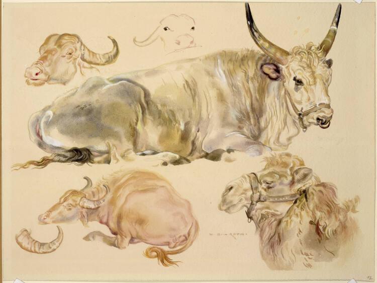 Norbertine von Bresslern-Roth, Büffel, Kamel, Inv. Nr.: 37833/380