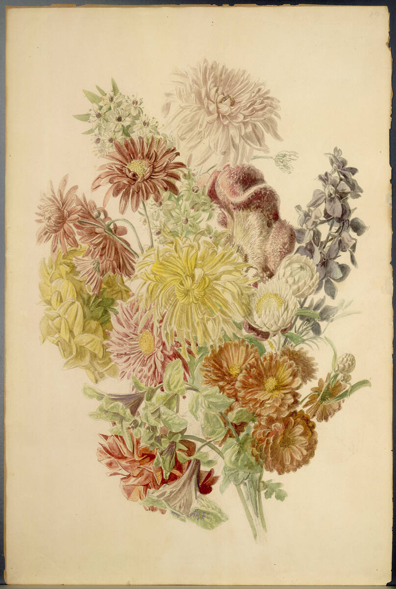 Blumenstudie, 19th century