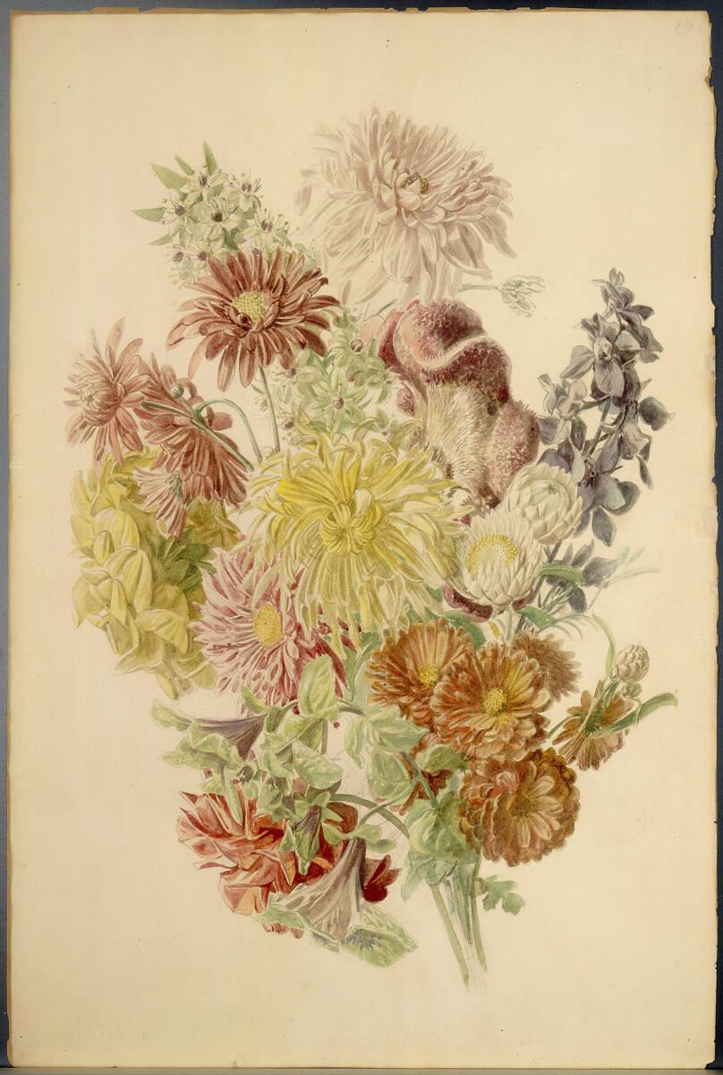 Anonym, Österreich, 19. Jh., Blumenstudie, Inv. Nr.: 32966/6