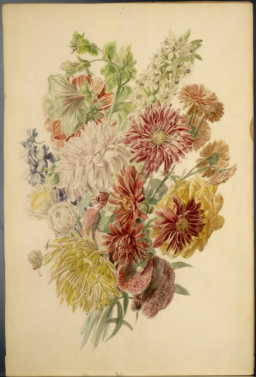 Anonym, Blumenstudie