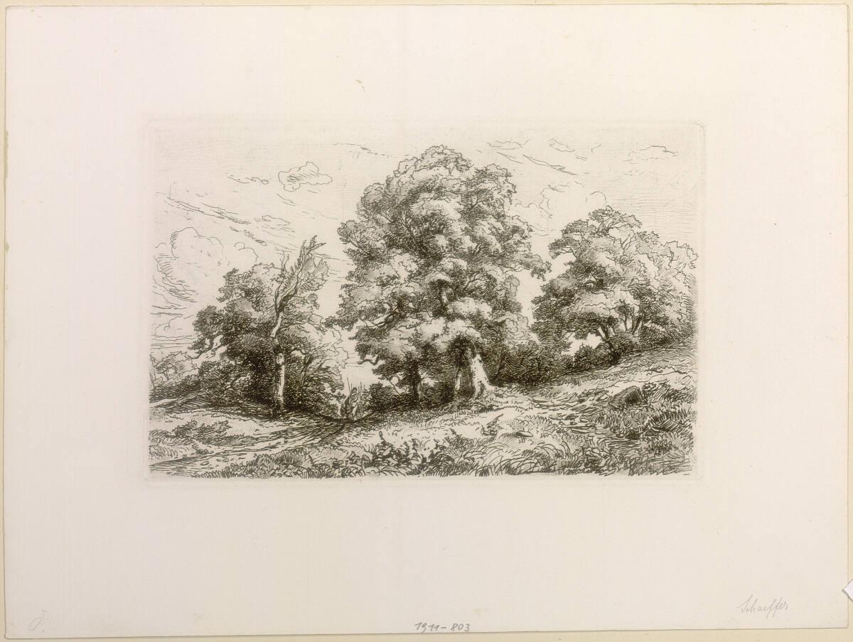 August Schäffer, Baumlandschaft, Inv. Nr.: DG1911/803