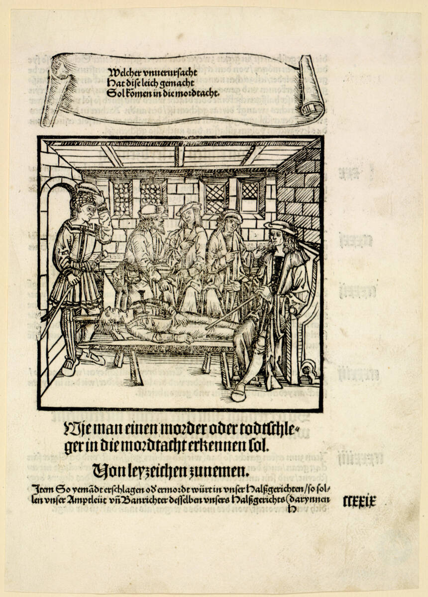 Welcher unverursacht - hat dise leich gemacht - Sol komen in die mordacht ..., Johann Schöffer, 1507–1508