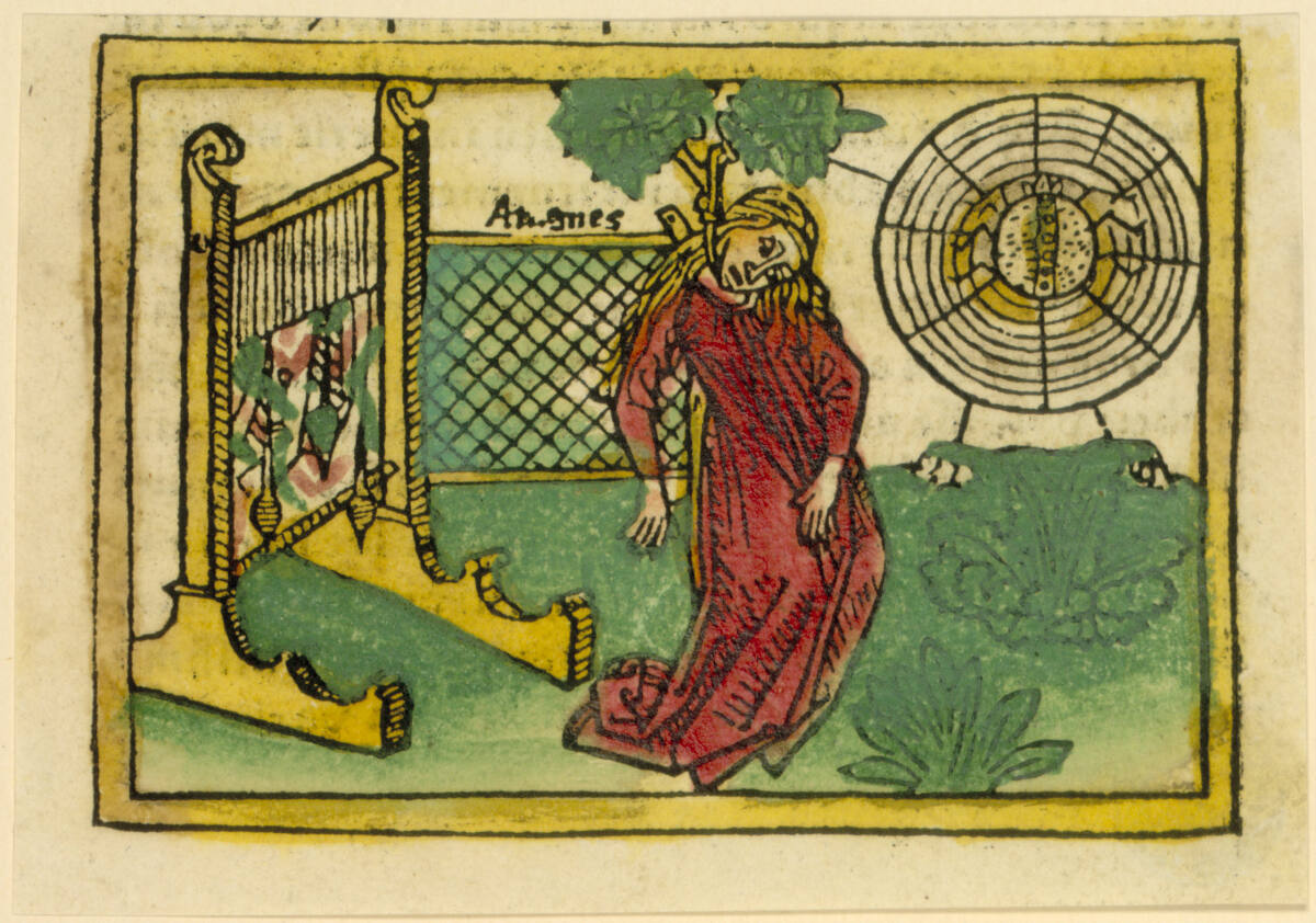 De aragne colophonia muliere - Aragnes, Johann Zainer, 1473