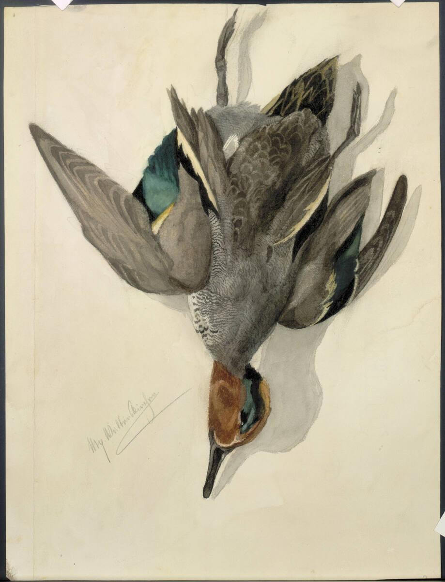 Rudolf Habsburg-Lothringen, Tote Wildente, Inv. Nr.: 45048