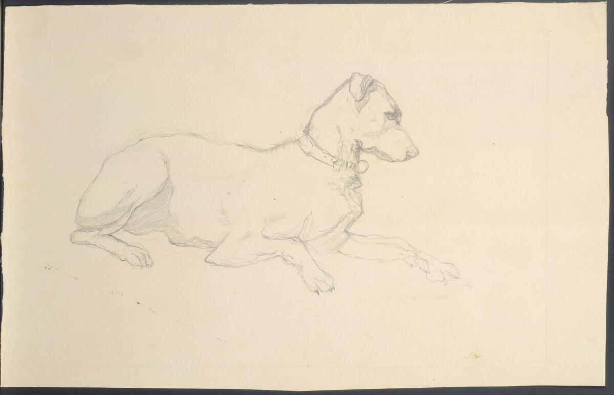 Rudolf Habsburg-Lothringen, Hund, Inv. Nr.: 45078