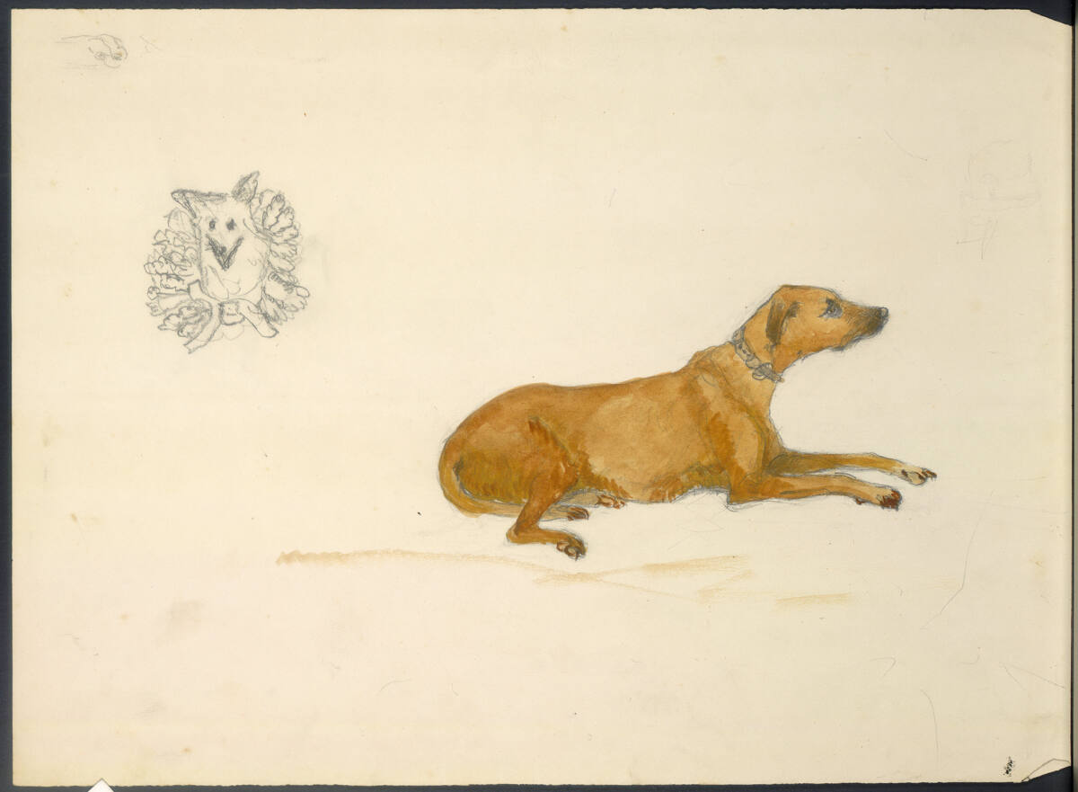 recto: Hund; verso: Weiblicher Kopf mit Andeutung der Gestalt, menschlicher Kopf, Hundekopf, Rudolf Habsburg-Lothringen