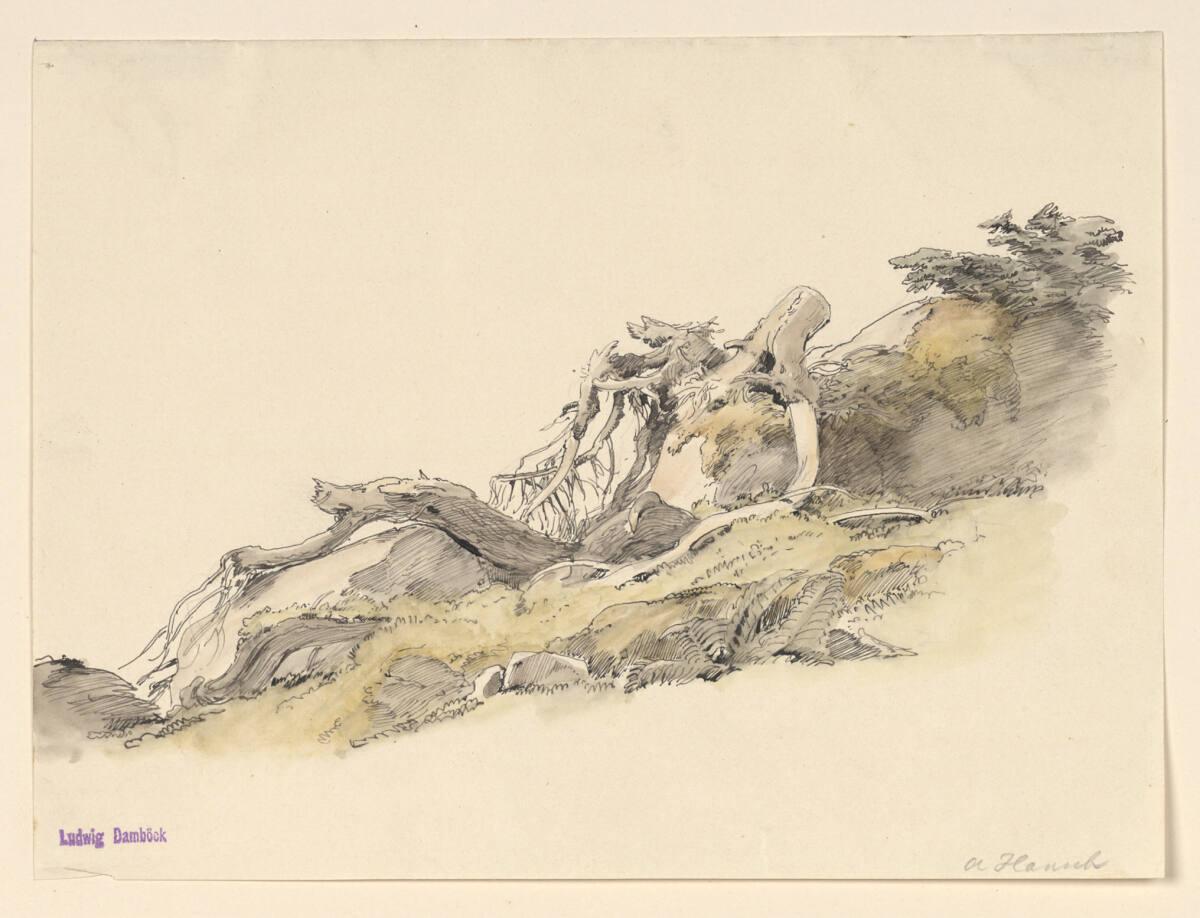Anton Hansch, Baumstrunk, Inv. Nr.: 16046