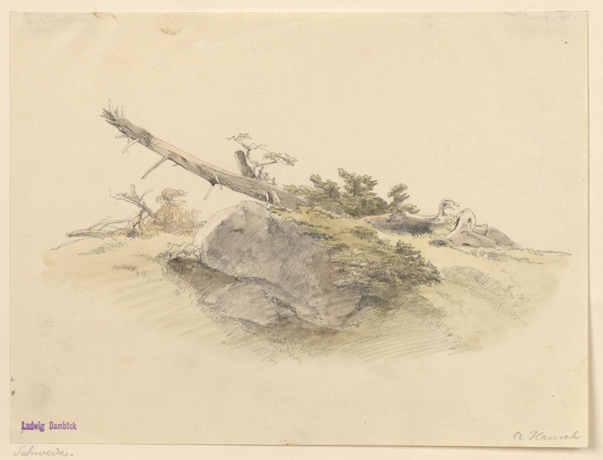 Terrainstudie, Anton Hansch, 1850–1870