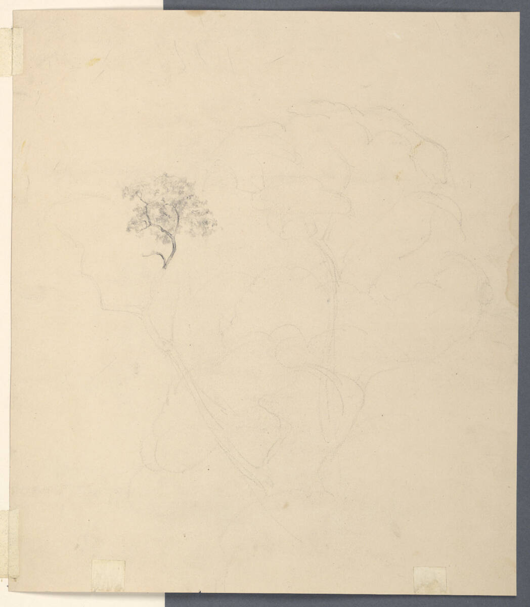Baumstudien, Anton Hansch, 1850–1870