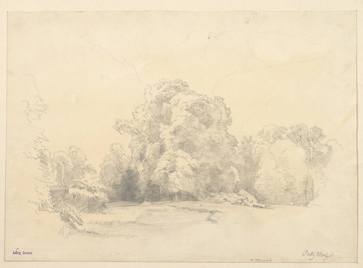 Baumgruppen im Ötztal, Anton Hansch, 1850–1870