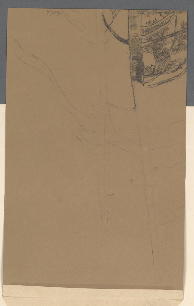 Anton Hansch, Nadelbaum, Inv. Nr.: 16066v