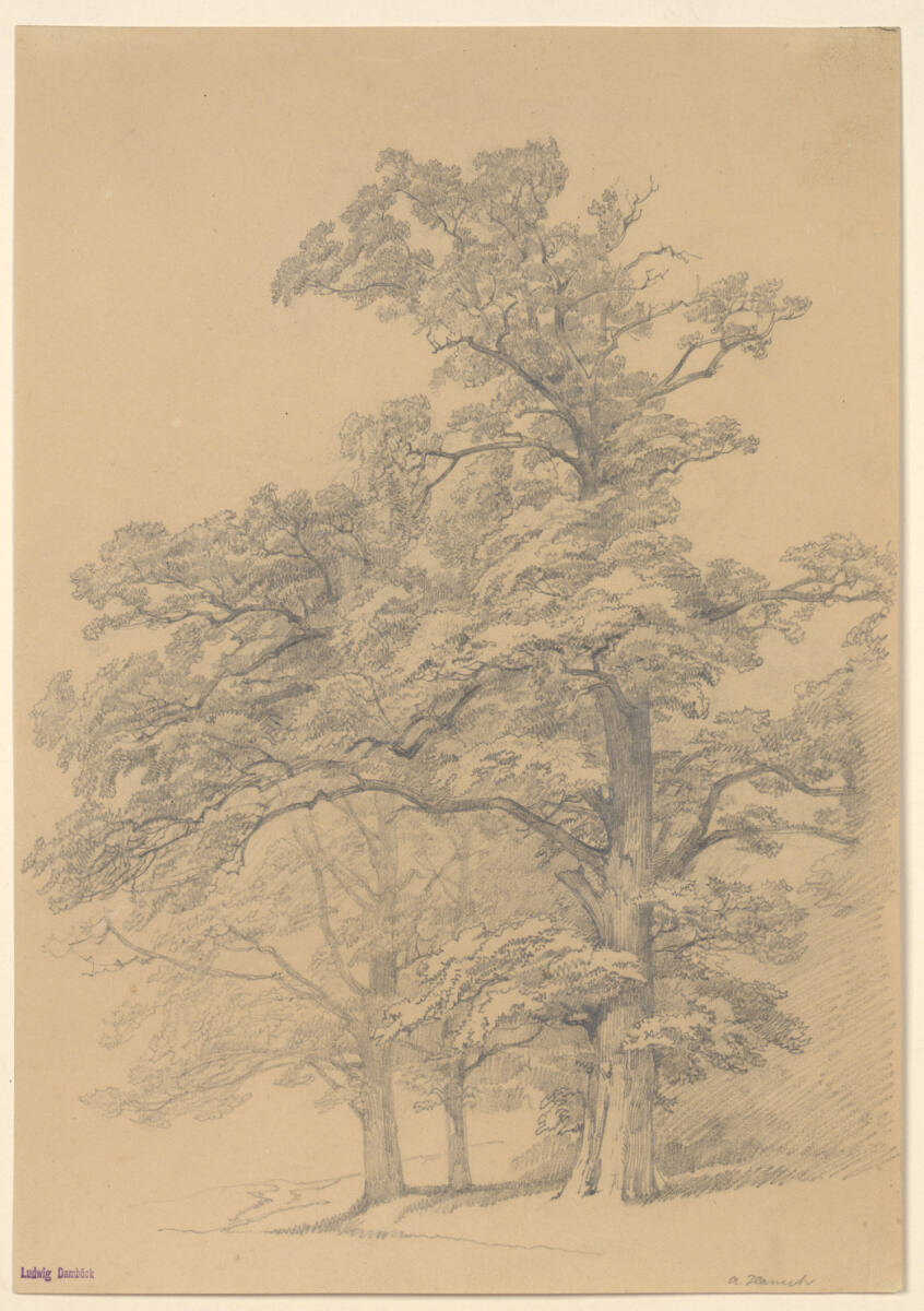 Laubbäume, Anton Hansch, 1850–1870