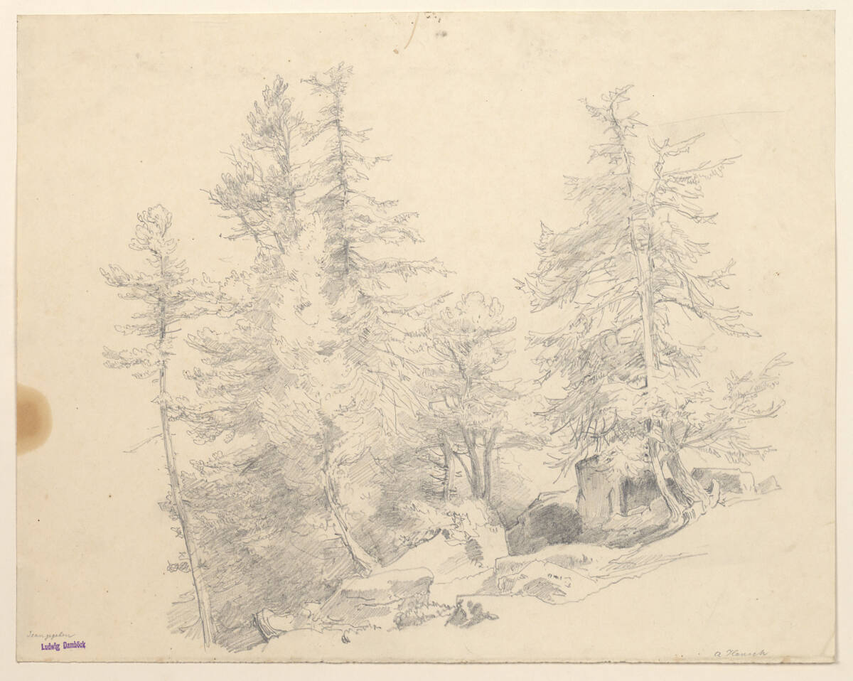 Nadelwaldpartie, Anton Hansch, 1850–1870