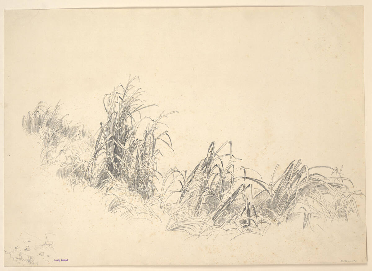 Schilfstudien, Anton Hansch, 1850–1870