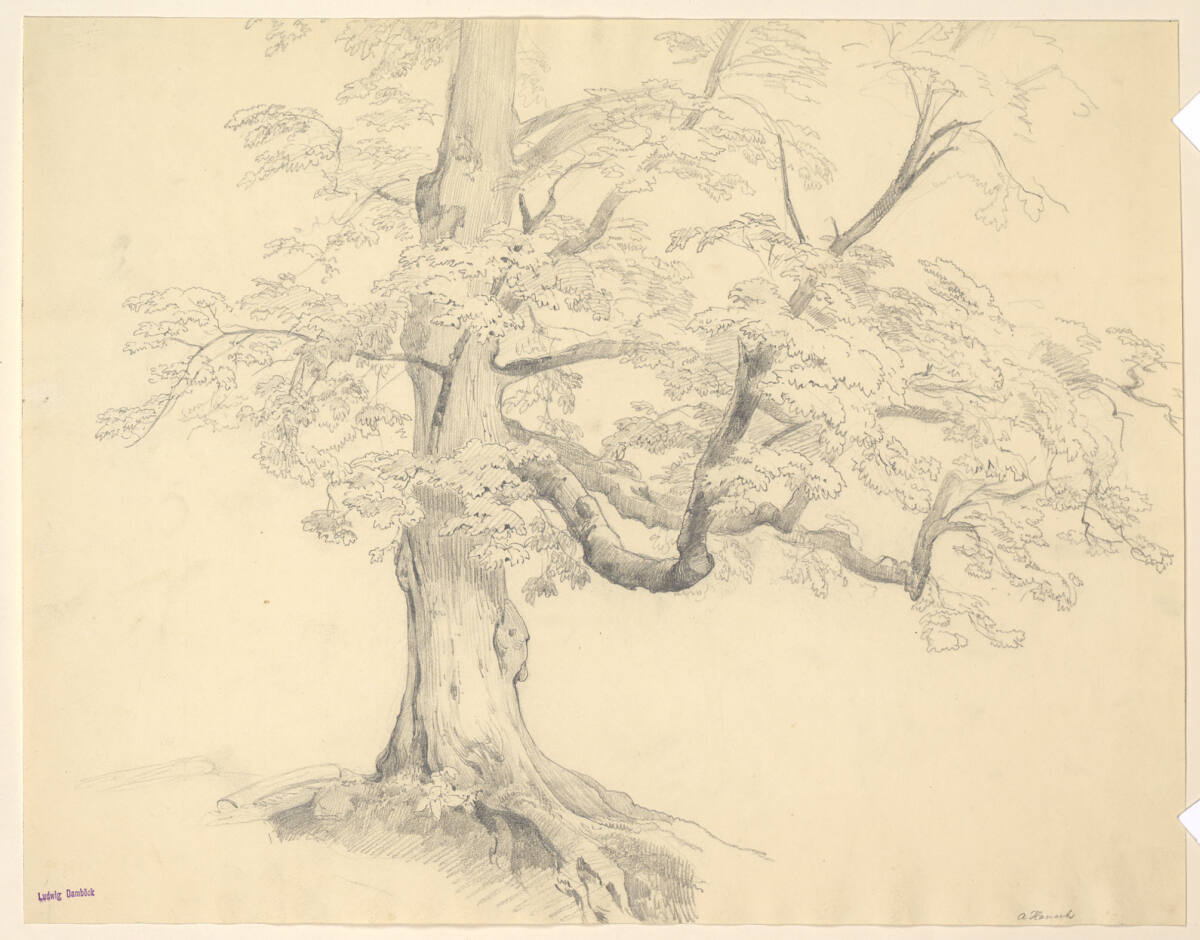 Alter Laubbaum, Anton Hansch, 1847