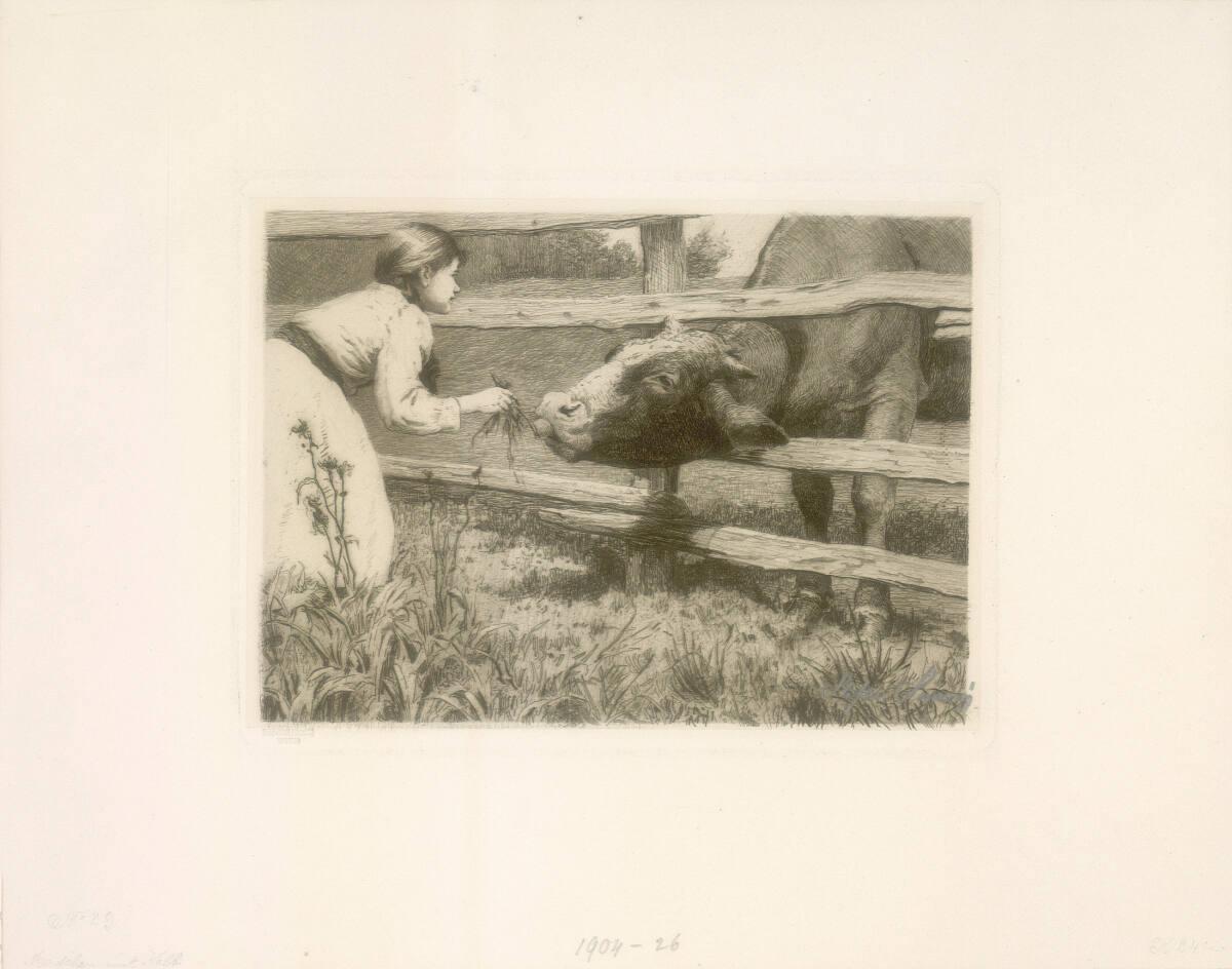 Stefan Simony, Mädchen mit Kalb, Inv. Nr.: DG1904/26